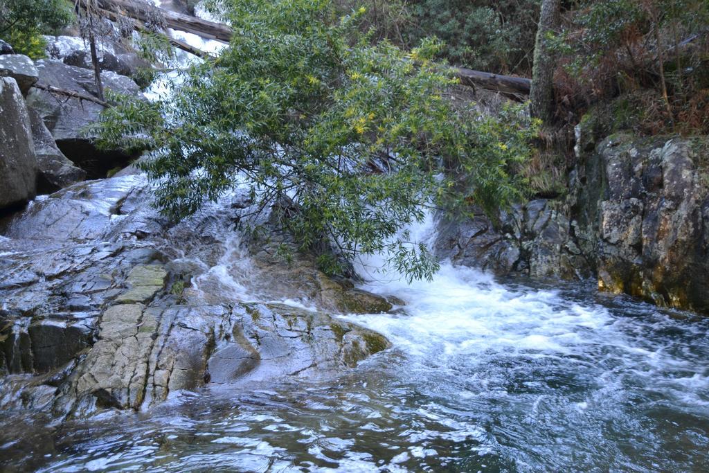 Quinta Do Real - Casa De Campo Βιάνα ντο Καστέλο Εξωτερικό φωτογραφία